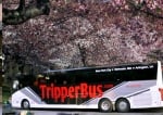Tripper Bus
