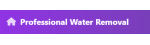 Trusted Water Damage Pros