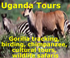 Pinnacle Africa Safaris