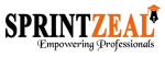 Sprrintzeal Pvt ltd