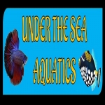 Under the Sea Aquatics | Fish Store | Fish Tanks