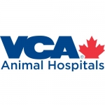 VCA Canada Guelph Veterinary Surgery Services
