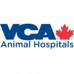 VCA Canada North Central Animal Hospital