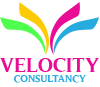 velocity Consultancy