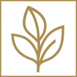 Vertera Financial