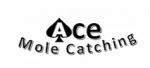 Ace Mole Catching