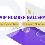 VIP NUMBER GALLERY