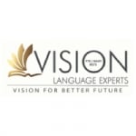 Vision Language Experts