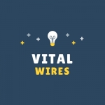 Vital Wires SAP Consulting Services - India