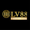 Vnhlv88 com