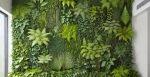 Green Wall Ltd