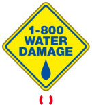 1-800 WATER DAMAGE OF Newtown