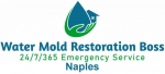 Water Mold Restoration Boss of Naples
