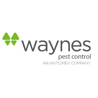 Waynes Pest Control