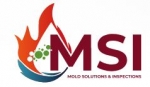 Mold Solutions