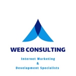 Web Consulting Agency
