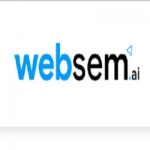Web SEM - AI Marketing Agency