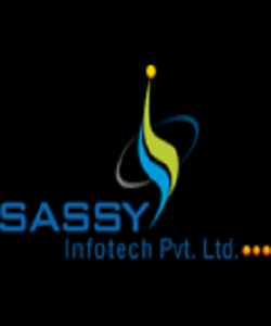 Sassy Infotech Pvt Ltd - Website design & developm