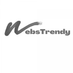 WebsTrendy Website Designer & Digital Marketin