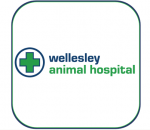 Wellesley Animal Hospital