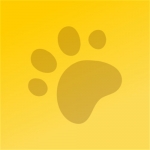 Well Groomed Pets - Palmetto