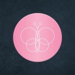 Whole Life Dentistry