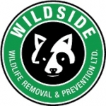 Wildside Wildlife Removal & Prevention Ltd.