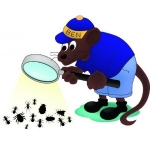 Willard's Pest Control