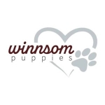 Winnsom Puppies