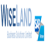 Wiseland Business Solutions Limited
