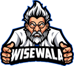 WiseWala Web Design