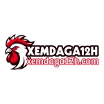 Xem Da Ga 12H - Xem Da Ga Truc Tiep Thomo Campuchi