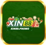 xin88promo