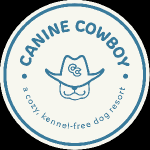 Yeti Wash Mobile Car Detailing